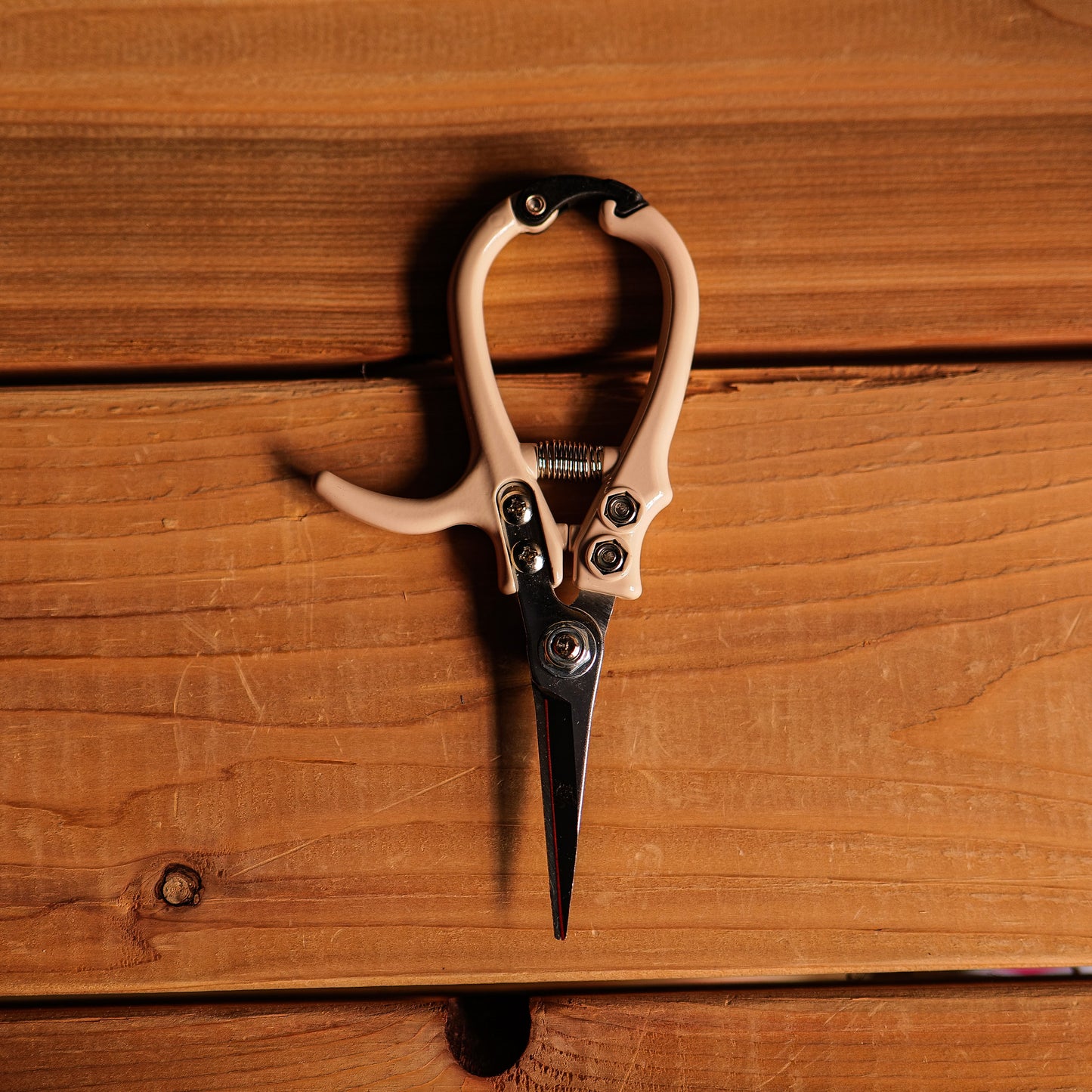 Sécateur vanille Jungle Club