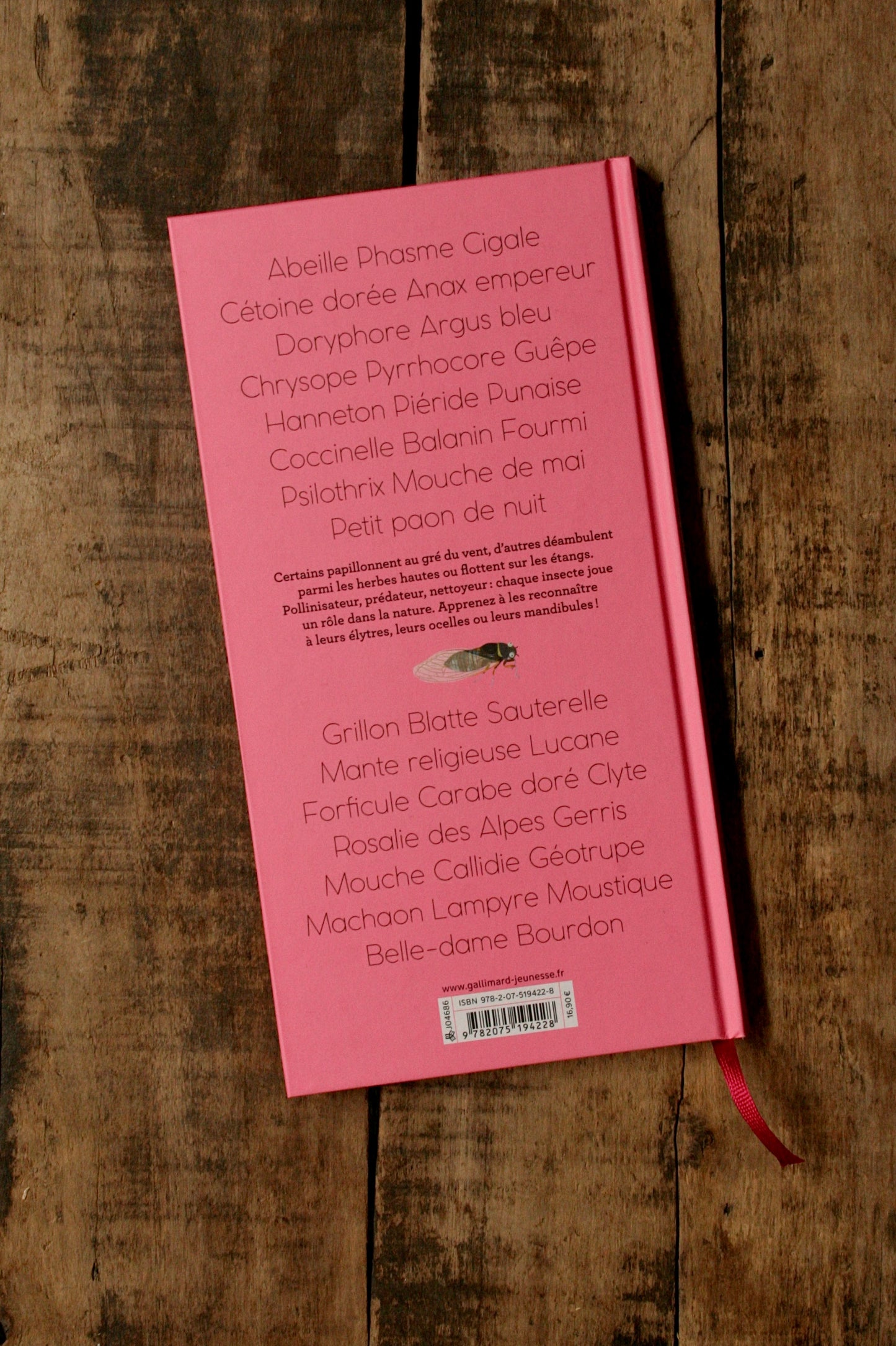 Book: Insects Around Us
