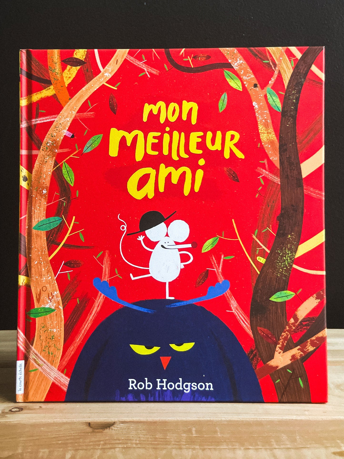 Livre Mon meilleur ami