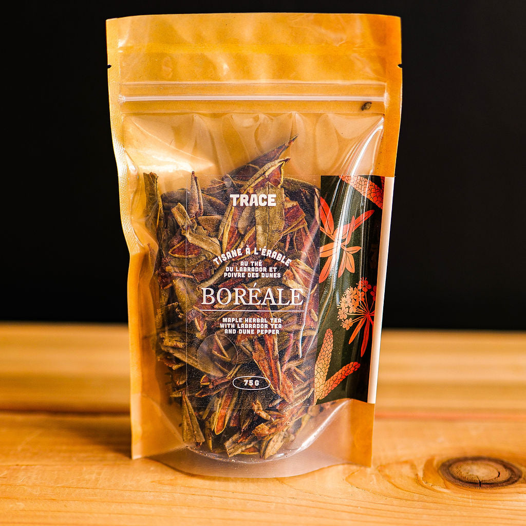 Tisane Boréale à l'érable Érable - Trace