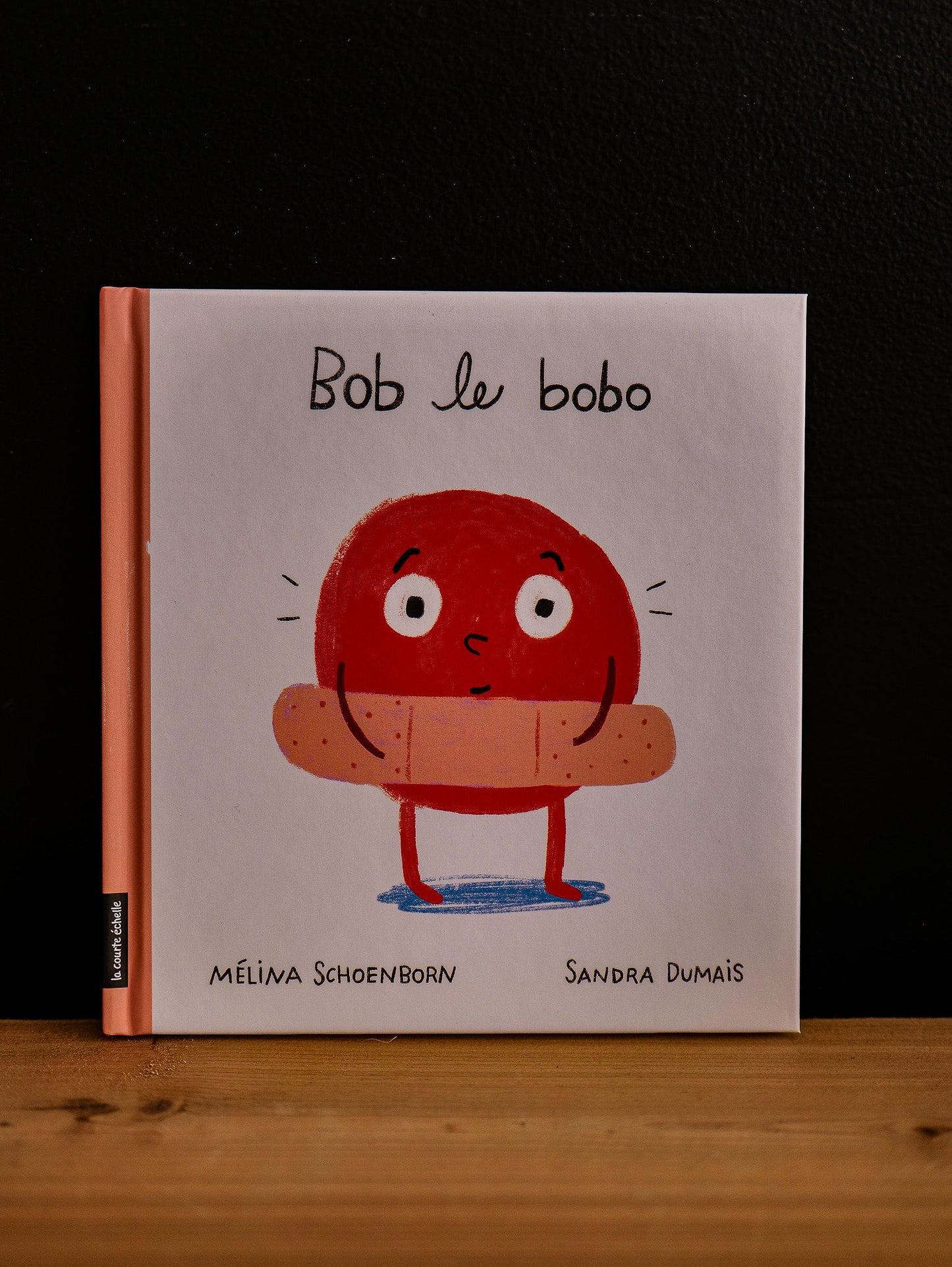 Livre Bob le bobo
