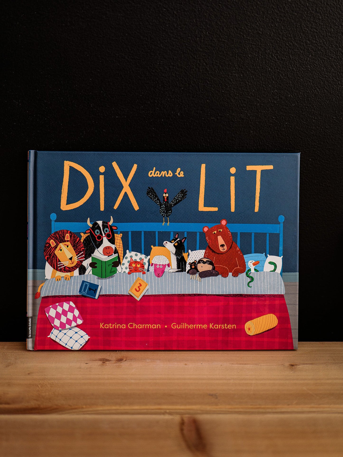 Livre Dix dans le lit