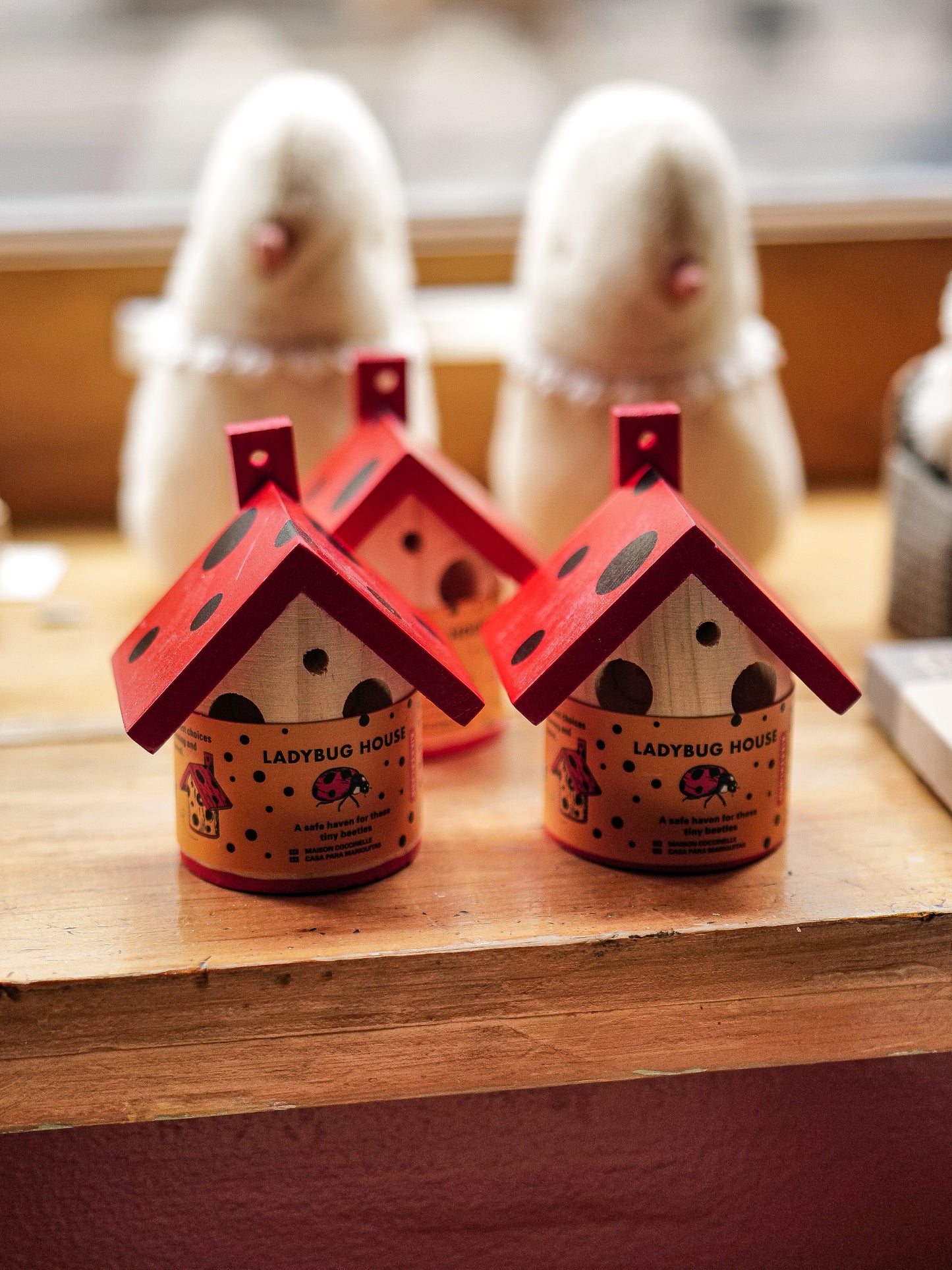 Maison pour coccinelles Kikkerland
