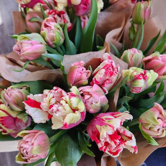 Bouquet de tulipes Prune les jardins