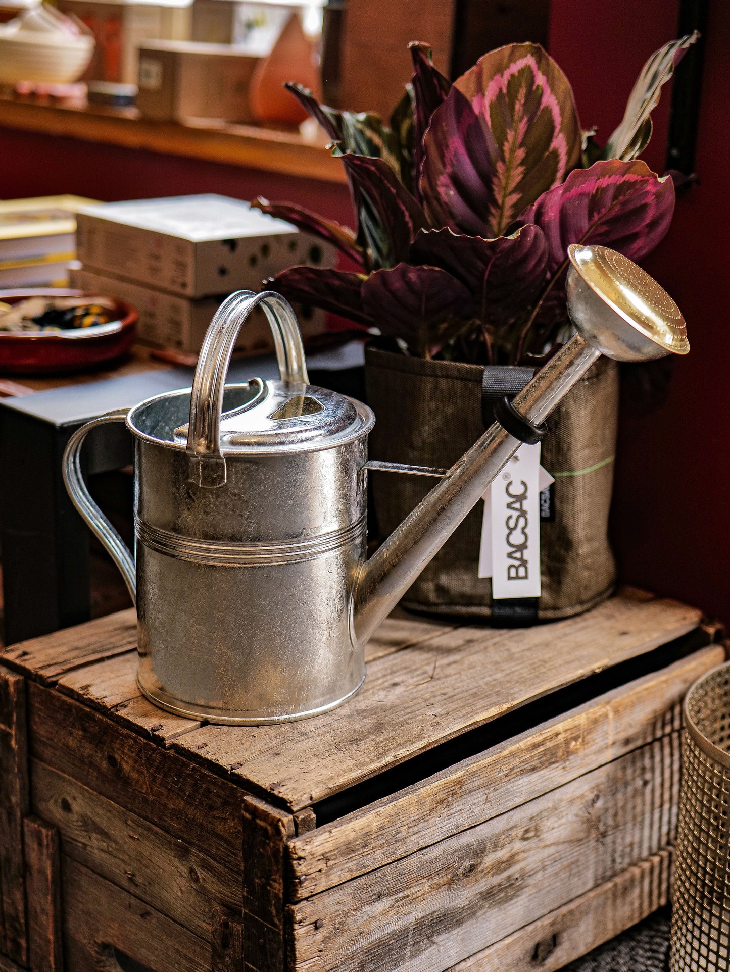 Plint watering can