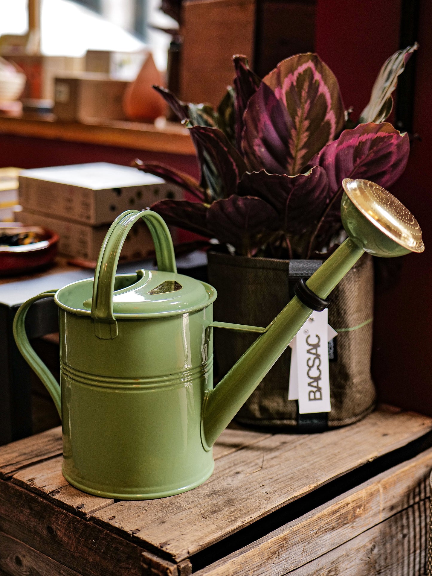 Plint watering can