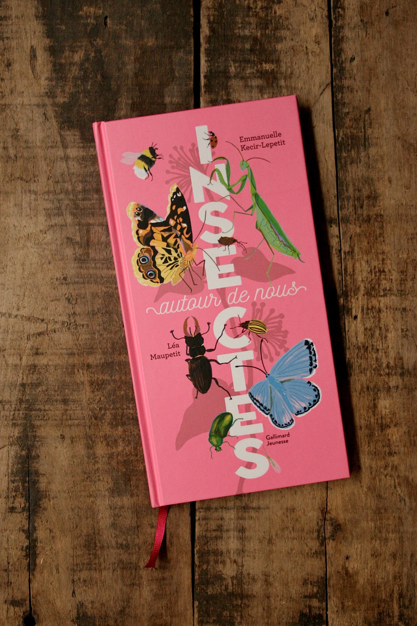Book: Insects Around Us