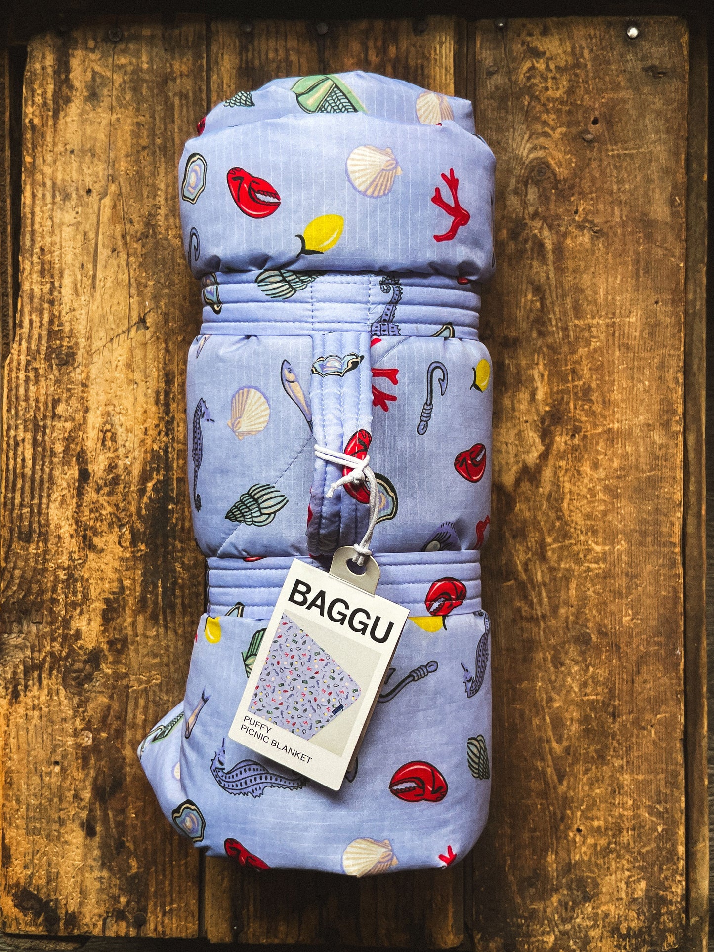 Couverture Pique-Nique Baggu