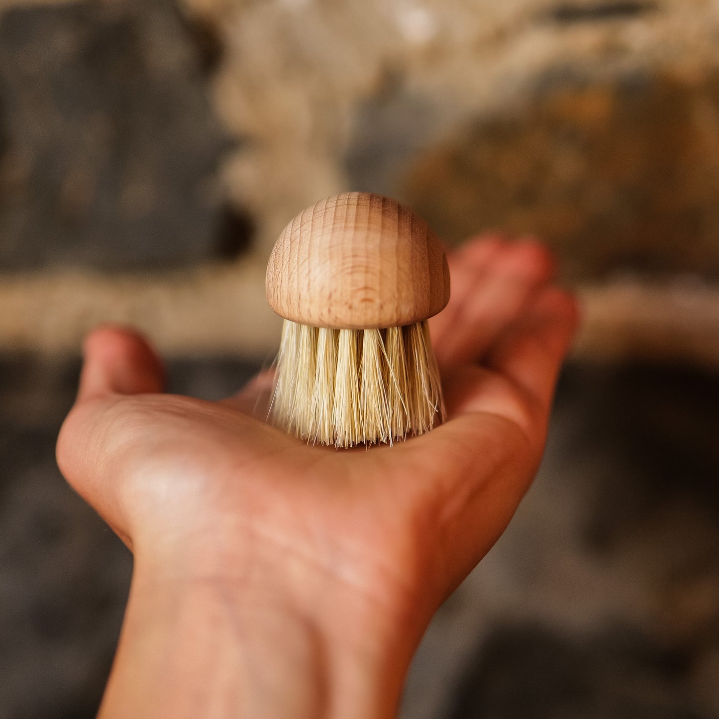Earth and Nest mushroom brush