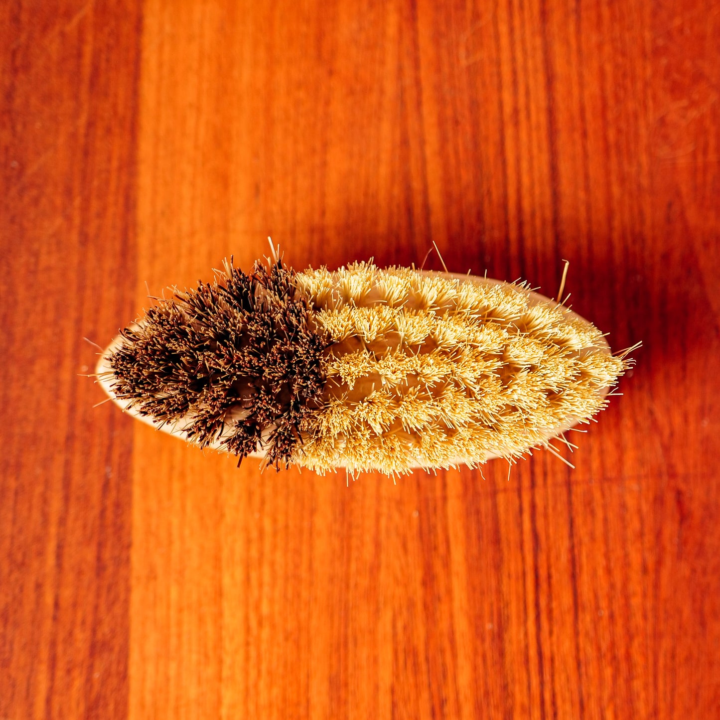 Brosse à légumes Unscented Company