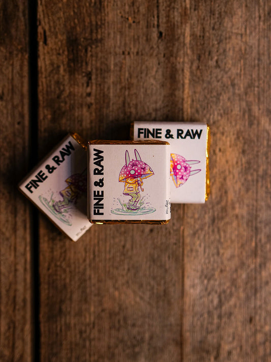 Petit chocolat Noisette Fine & Raw