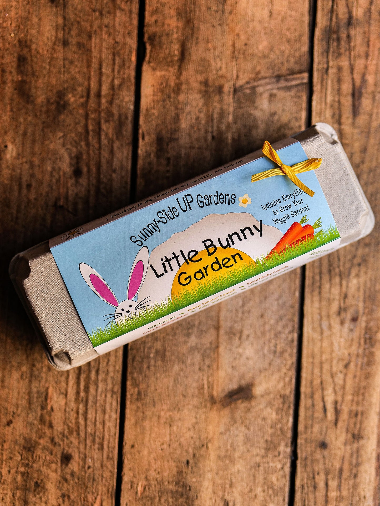 Backyard Safari Company sowing kit